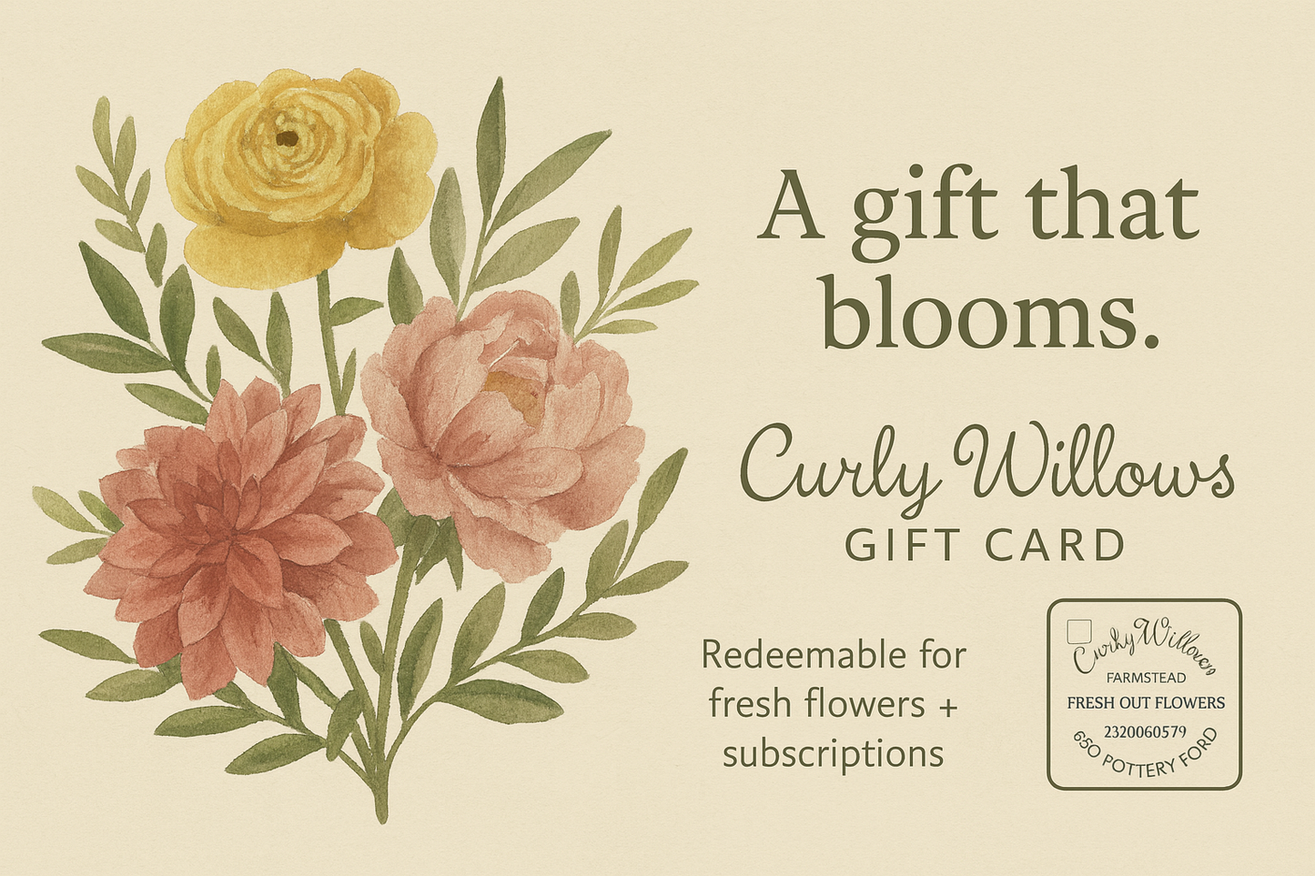 Curly Willows Gift Card